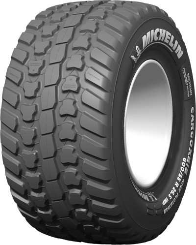 710/50 R30,5 TL Michelin Cargoxbib 173D